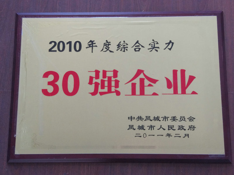 30強企業(yè) 2010.jpg