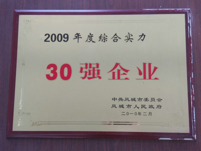 30強企業(yè) 2009.jpg