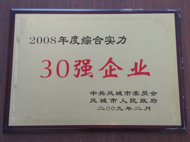 30強(qiáng)企業(yè) 2008.jpg